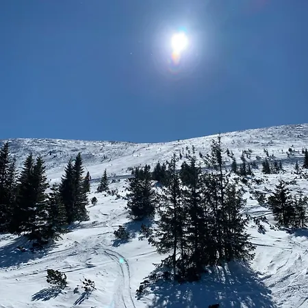 Wellness With Amazing View Drevenica Medovka Alpesi faház *