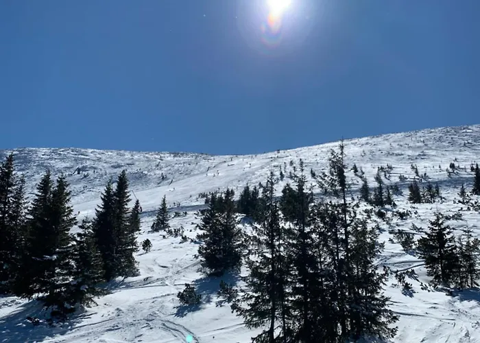 Wellness With Amazing View Drevenica Medovka Domek alpejski *